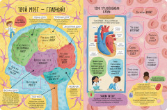 Большая книга с окошками. Тело человека - Фото 3