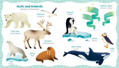 Мой первый английский словарик в картинках - Фото 4