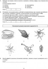 Биология. ЕГЭ 2026. Типовые варианты экзаменационных заданий. 30 вариантов - Фото 4