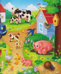 Кто где живёт. Книга с окошками - Фото 3