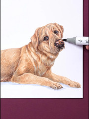 Папка с бумагой для графики и маркеров - Фото 6