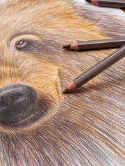 Папка с бумагой для графики и маркеров - Фото 13