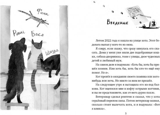 У кота была собака