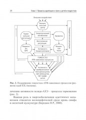 Стресс и метеоадаптация в детском возрасте - Фото 4