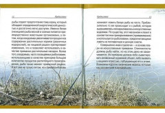 Рыбалка - Фото 2