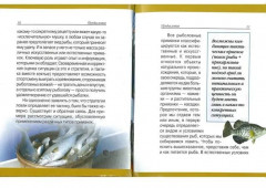 Рыбалка - Фото 3