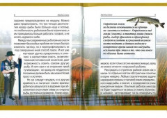 Рыбалка - Фото 4