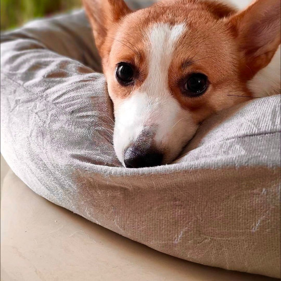 Лежанка для животных