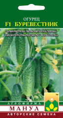 Семена огурца «Буревестник F1» - Фото 1