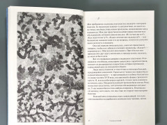 У медуз нет ушей - Фото 5