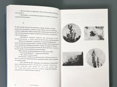 У медуз нет ушей - Фото 6