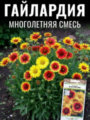 Семена гайлардии «Многолетняя смесь» - Фото 1