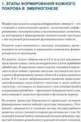 Дерматохирургия. Хирургия новообразований кожи и её придатков. Практическое руководство - Фото 9