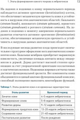 Дерматохирургия. Хирургия новообразований кожи и её придатков. Практическое руководство - Фото 10