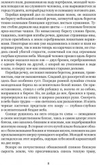 Последняя нежность. Вторая книга рассказов - Фото 2