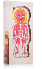 Пазл-вкладыш «Девочка» - Фото 4