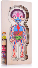 Пазл-вкладыш «Мальчик» - Фото 4