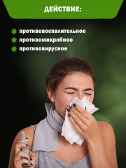 Спрей для носа с прополисом от насморка, ринита, гайморита и аллергии «Bishupen» - Фото 3