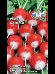 Семена редис «Санька» - Фото 1