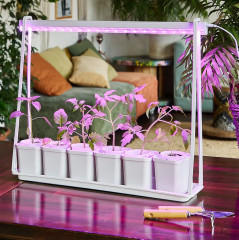 Набор для выращивания растений «Минисад» - Фото 4