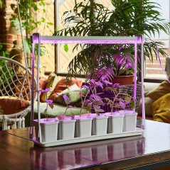 Набор для выращивания растений «Минисад» - Фото 5