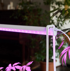 Набор для выращивания растений «Минисад» - Фото 6