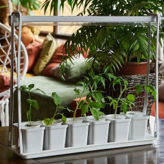 Набор для выращивания растений «Минисад» - Фото 7