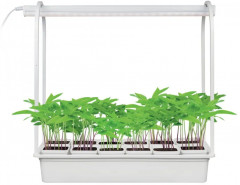 Набор для выращивания растений «Минисад» - Фото 1