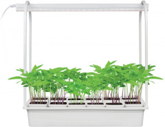 Набор для выращивания растений «Минисад» - Фото 1