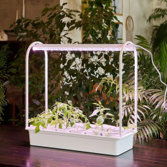 Набор для выращивания растений «Минисад» - Фото 3