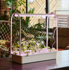 Набор для выращивания растений «Минисад» - Фото 4