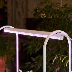 Набор для выращивания растений «Минисад» - Фото 5