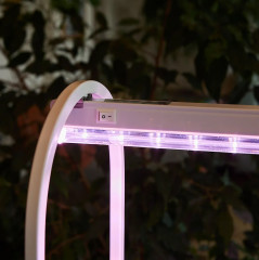 Набор для выращивания растений «Минисад» - Фото 6