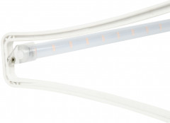 Набор для выращивания растений «Минисад» - Фото 4