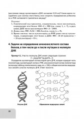 ЕГЭ. Биология. Раздел «Молекулярная биология». Тренировочная тетрадь - Фото 8