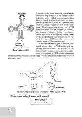 ЕГЭ. Биология. Раздел «Молекулярная биология». Тренировочная тетрадь - Фото 10
