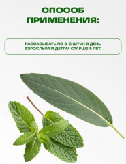 Леденцы с эвкалиптом и ментолом - Фото 2