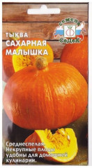 Семена тыквы «Сахарная малышка» - Фото 1