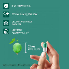 Очищающий комплекс детокс для женщин и мужчин «MegaSlim» - Фото 6