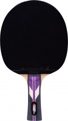 Ракетка для настольного тенниса - Фото 1