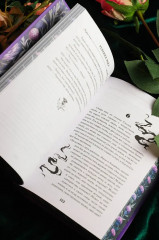 Зачарованная река - Фото 9