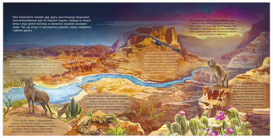 Удивительные животные. Что скрывает природа?