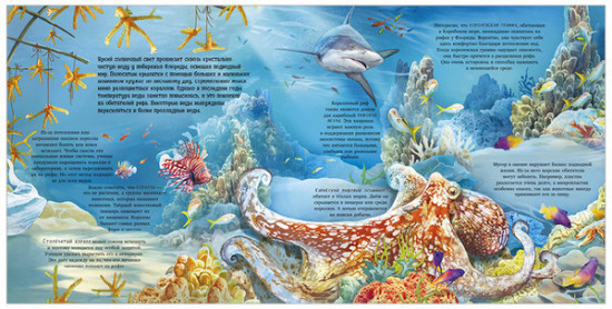 Удивительные животные. Что скрывает природа?