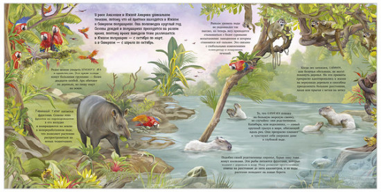 Удивительные животные. Что скрывает природа?