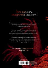 Звезда Черного дракона - Фото 6