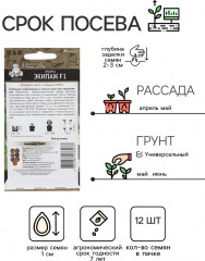 Семена огурца «Экипаж F1» - Фото 1