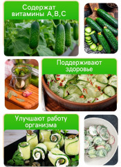 Семена огурца «Экипаж F1» - Фото 2