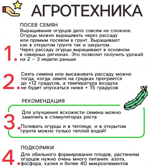 Семена огурца «Экипаж F1»