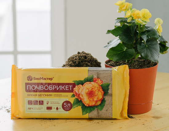 Почвобрикет «Яркая бегония»
