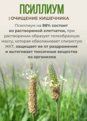 Псиллиум - Фото 2